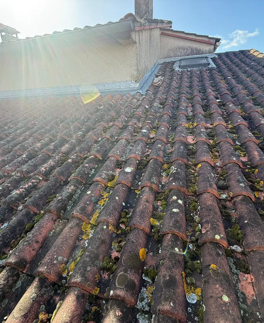 Toiture en tuiles couverte de mousses et de lichens avant nettoyage